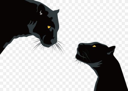 Pantera Art