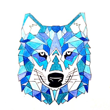 Волк геометрия