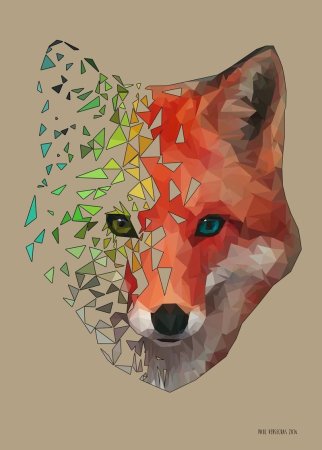 Лиса Геометрика