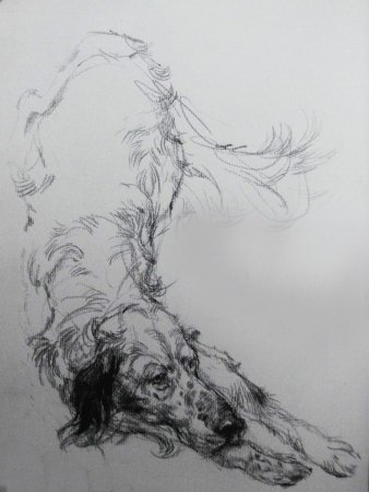 Виктор Амбруш иллюстрации животных