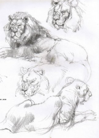 Виктор Амбруш