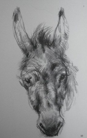 Виктор Амбруш Наброски