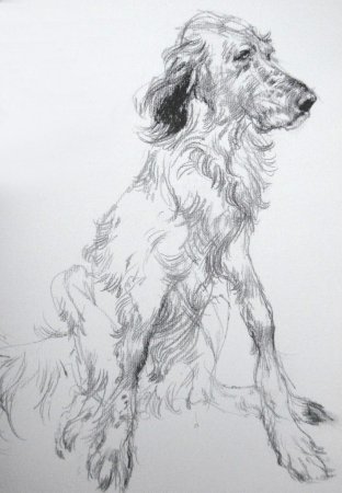 Амбруш Наброски