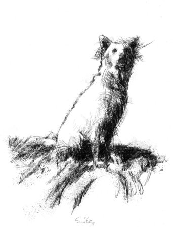 Виктор Амбруш