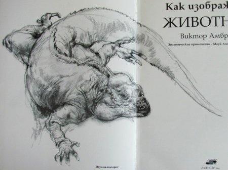 Виктор Амбруш Наброски животных
