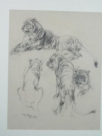 Виктор Амбруш