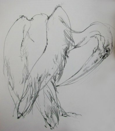 Виктор Амбруш