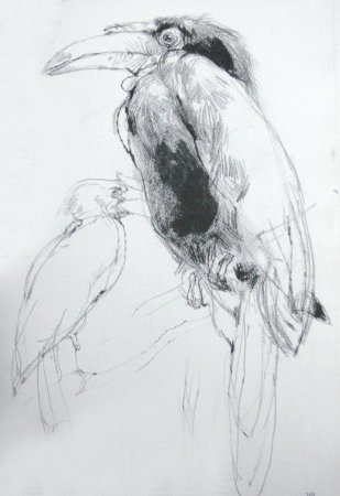 Виктор Амбруш Наброски животных