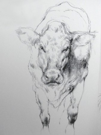 Амбруш Наброски