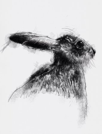 Художник Виктор Амбруш