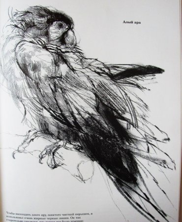 Кролик пастелью набросок