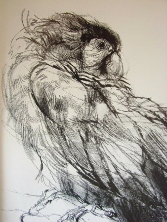 Иллюстрации Виктора Леонидовича