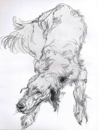 Художник Виктор Амбруш