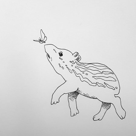 Тапир Бэрда рисунок