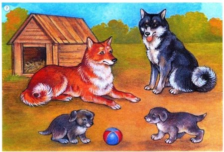 Семьи домашних животных