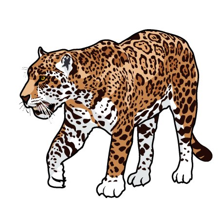 Ягуар рисунок