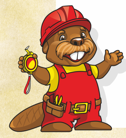 Бобер в каске