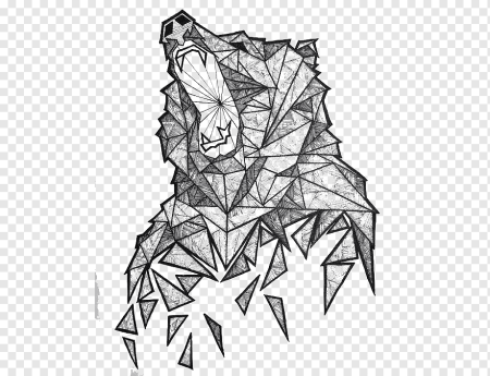 Медведь геометрия эскиз