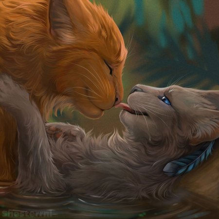 Коты Воители любовь