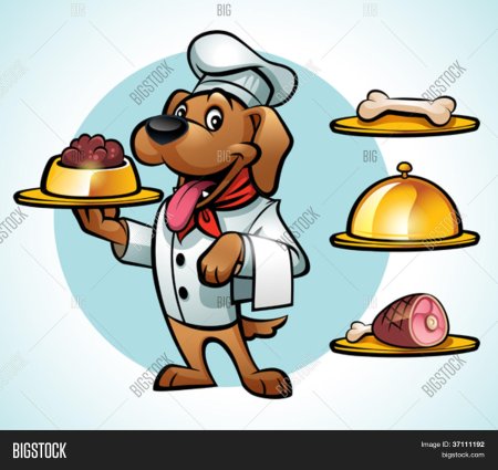 Мультяшные повара животные