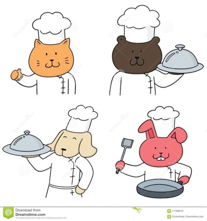 Инфографика кошка повар