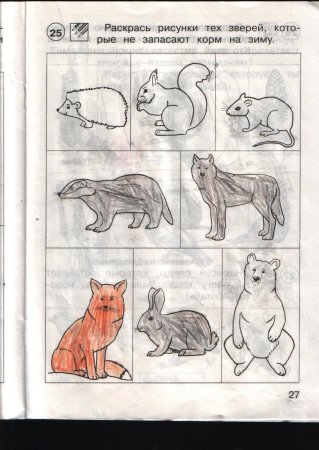 Рисунки животных для второго класса