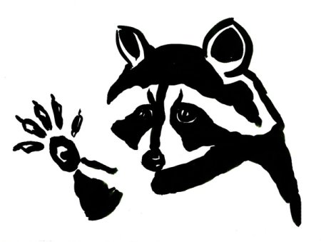 Силуэты енотов