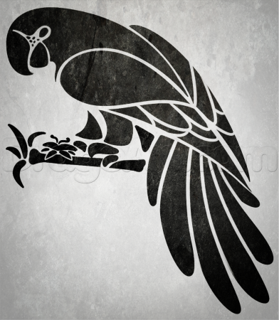 Попугай стилизация