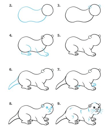 Белка этапы рисования