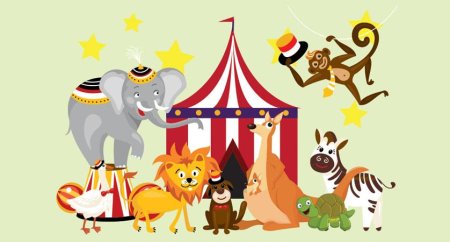 Сен Санс кенгуру