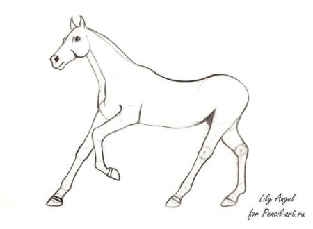 Лошадка без гривы