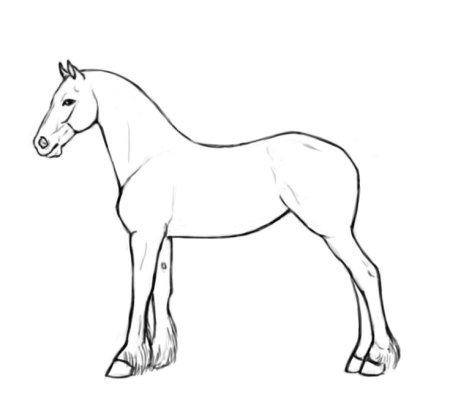 Лошадь без гривы и хвоста