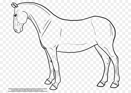 Дорисованная лошадь