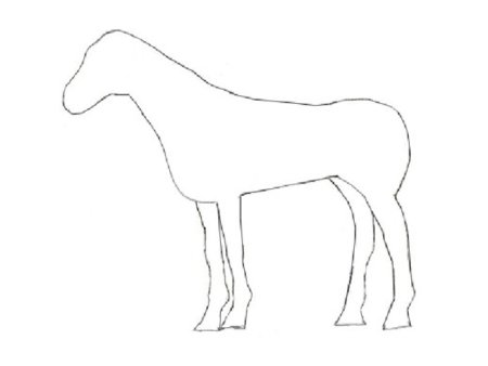 Лошадь без хвоста и без гривы