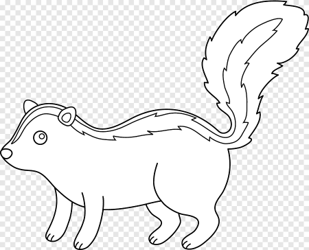 Скунс раскраска для малыша