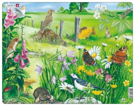 Пазл Larsen fh25 природа