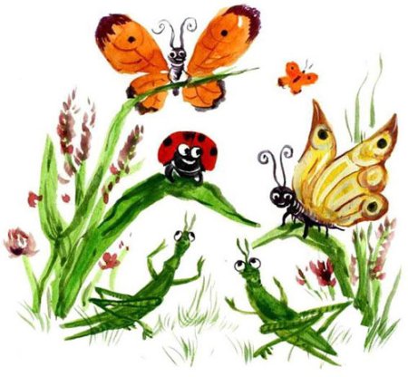 Животные экосистемы Луга