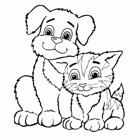 Раскраски. Животные