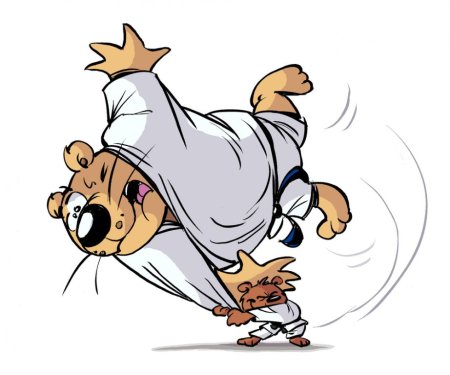 Дзюдо животные