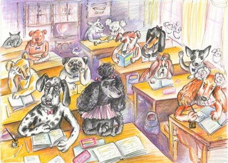 Собака Саша черный Фокс Микки