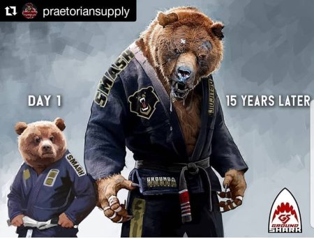 Jiu Jitsu животные медведь
