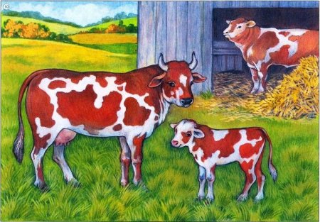 Семейство Львов