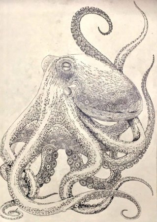 Осьминог стилизация