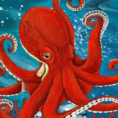 Осьминог рисунок раскраска