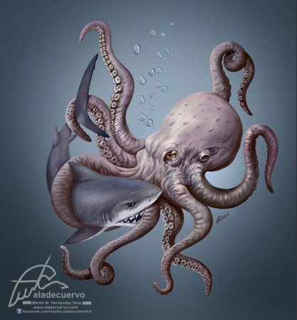 Осьминог гравюра