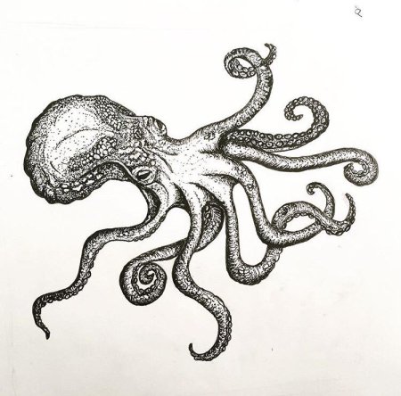 Осьминог черно белый