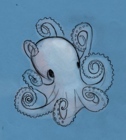 Кракен раскраска для детей