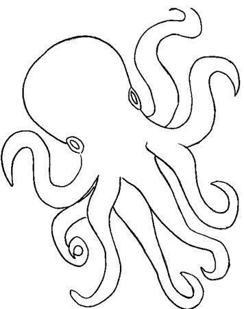 Осьминог цветной