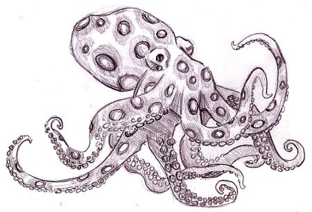 Щупальца раскраска