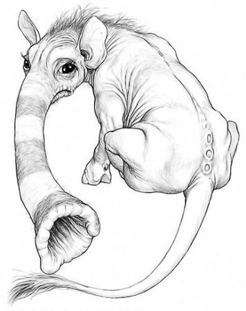 Пожиратель носков Терри Пратчетт